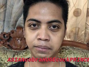 ASIANcobraHUGEcockPRINCE