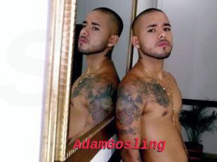 AdamGosling