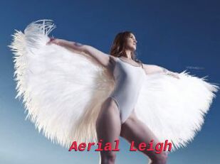 Aerial_Leigh