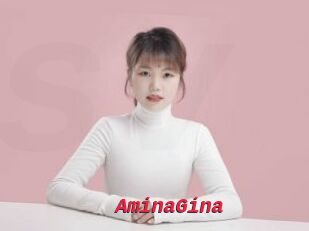 AminaGina