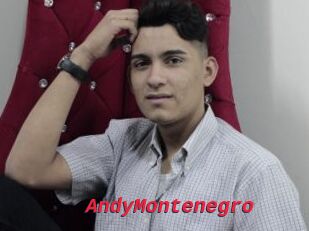 AndyMontenegro