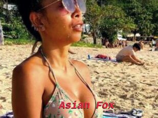 Asian_Fox