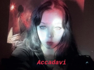 Accadavi