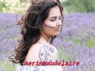 Aerinbaudelaire