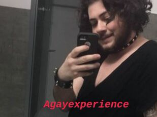 Agayexperience