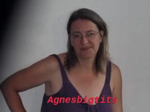 Agnesbigtits