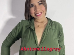 Ahntonellagrey