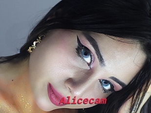 Alicecam