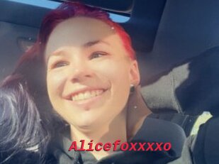 Alicefoxxxxo