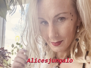 Alicesjungalo