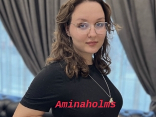 Aminaholms
