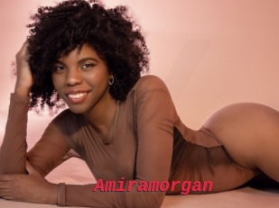 Amiramorgan