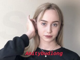 Amitybudlong