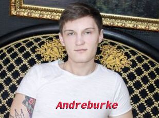 Andreburke