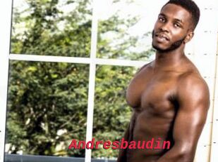 Andresbaudin