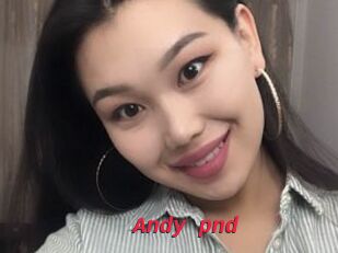 Andy_pnd