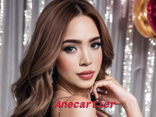Anecartier