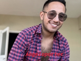 Angeloporter