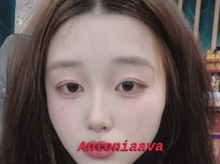 Antoniaava