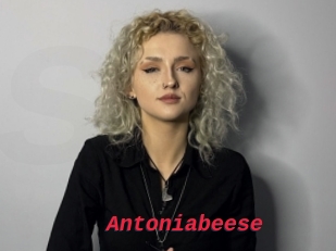 Antoniabeese