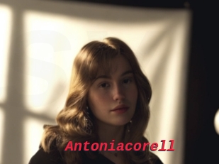 Antoniacorell