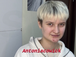 Antoniacowick