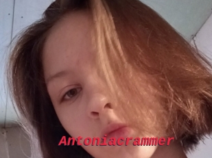 Antoniacrammer