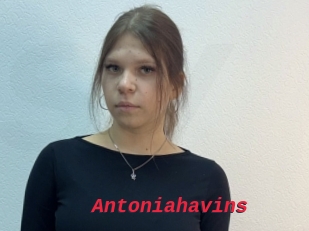 Antoniahavins