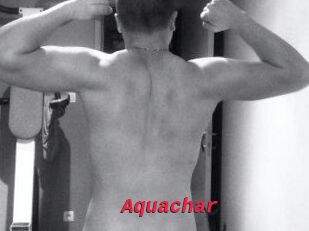 Aquachar