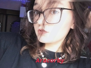 Aracorby