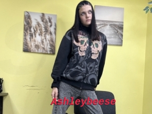 Ashleybeese