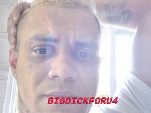 BIGDICKFORU4