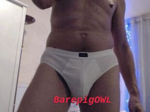 BarepigOWL