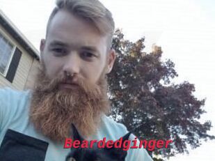 Beardedginger