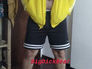 BigDickBear