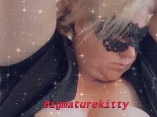 Bigmaturekitty
