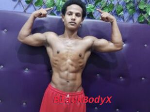 BlackBodyX