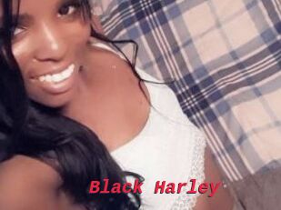 Black_Harley
