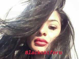 Blackcatforu
