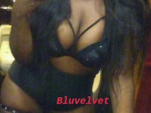 Bluvelvet