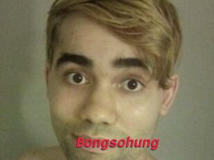 Bongsohung