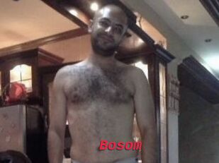 Bosom