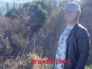 BrandonLevi
