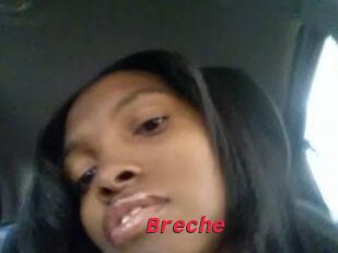 Breche