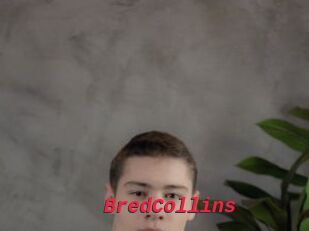 BredCollins