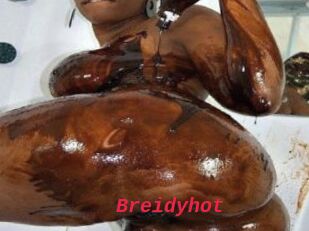 Breidyhot