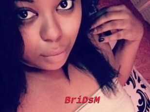 BriDsM