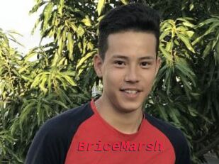 BriceMarsh
