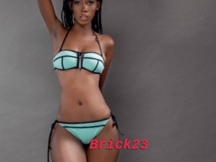 Brick23