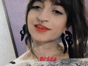 Briza
